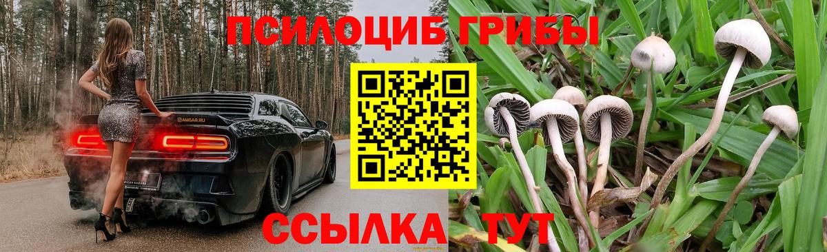 Псилоцибиновые грибы Magic Shrooms Белорецк